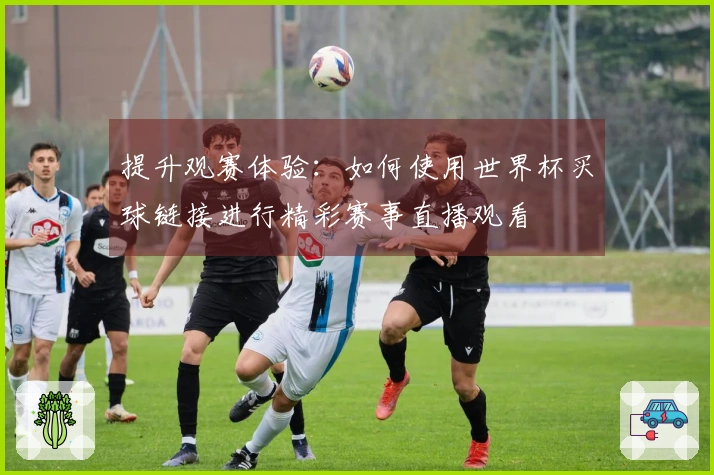 提升观赛体验：如何使用世界杯买球链接进行精彩赛事直播观看