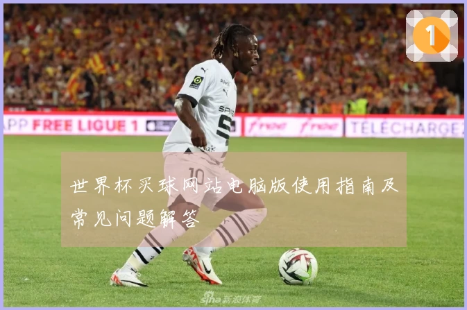 世界杯买球网站电脑版使用指南及常见问题解答