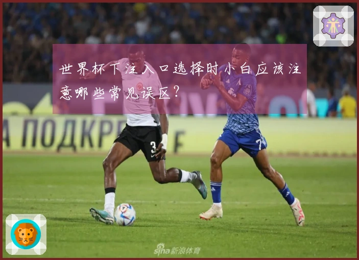 世界杯下注入口选择时小白应该注意哪些常见误区？