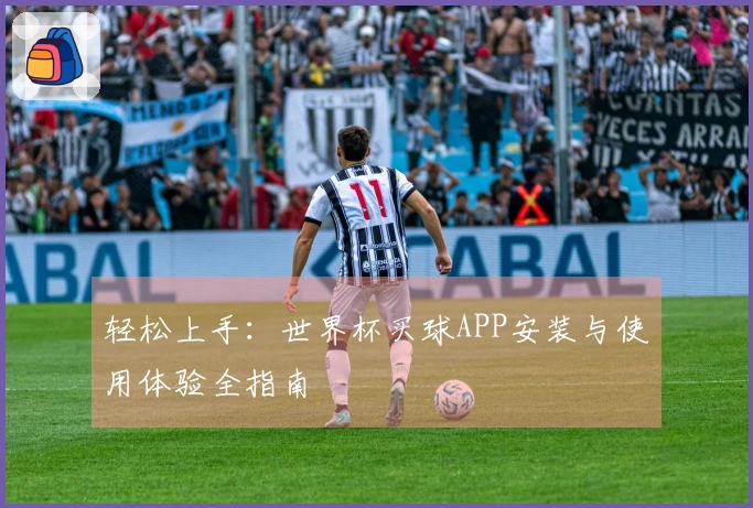 轻松上手：世界杯买球APP安装与使用体验全指南