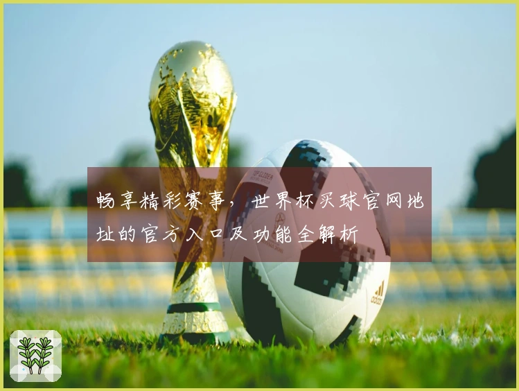 畅享精彩赛事，世界杯买球官网地址的官方入口及功能全解析