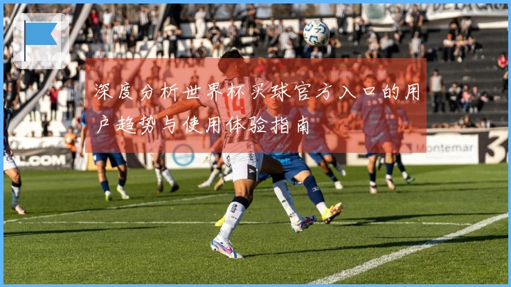 深度分析世界杯买球官方入口的用户趋势与使用体验指南