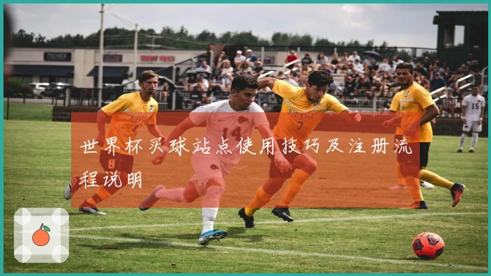 世界杯买球站点使用技巧及注册流程说明