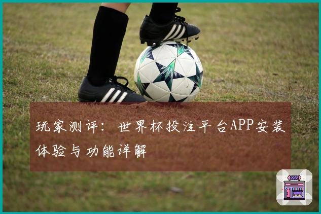 玩家测评：世界杯投注平台APP安装体验与功能详解
