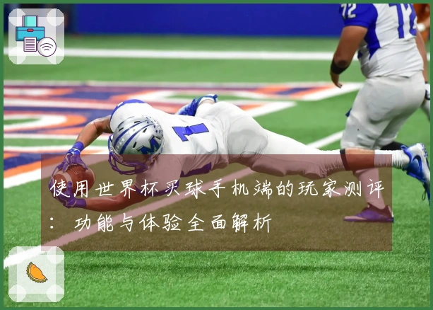 使用世界杯买球手机端的玩家测评：功能与体验全面解析