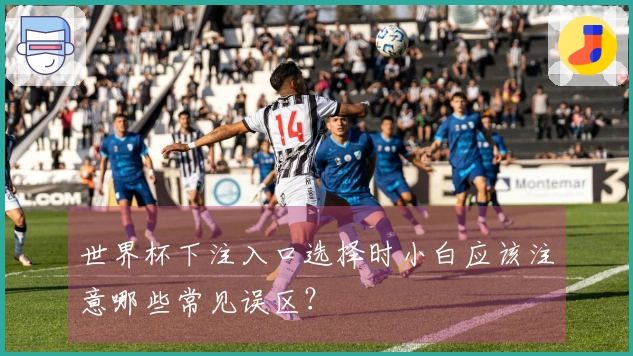 世界杯下注入口选择时小白应该注意哪些常见误区？