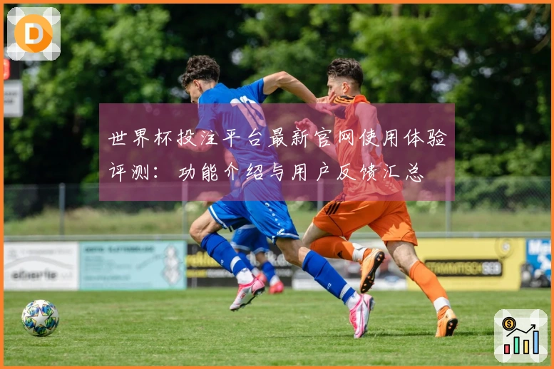 世界杯投注平台最新官网使用体验评测：功能介绍与用户反馈汇总