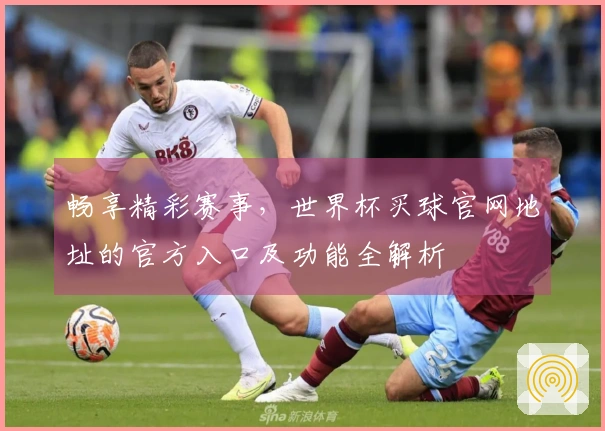 畅享精彩赛事，世界杯买球官网地址的官方入口及功能全解析