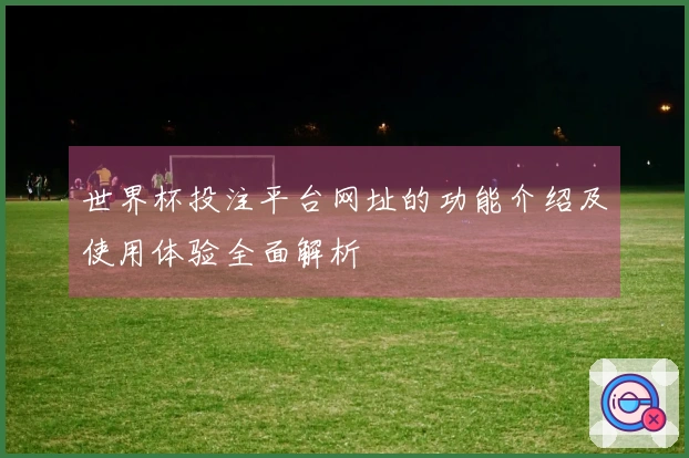 世界杯投注平台网址的功能介绍及使用体验全面解析