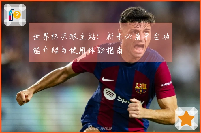 世界杯买球主站：新手必看平台功能介绍与使用体验指南