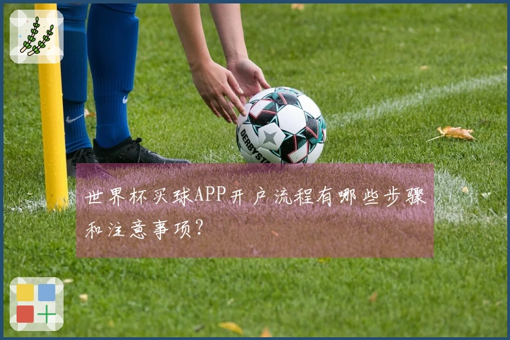 世界杯买球APP开户流程有哪些步骤和注意事项？