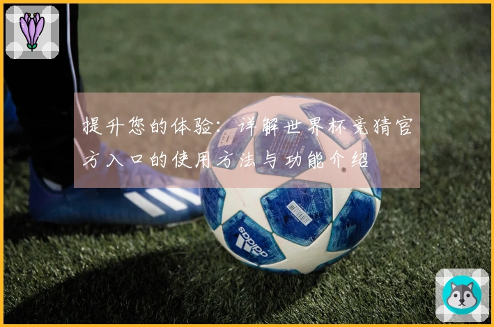 提升您的体验：详解世界杯竞猜官方入口的使用方法与功能介绍