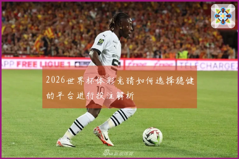 2026世界杯体彩竞猜如何选择稳健的平台进行投注解析