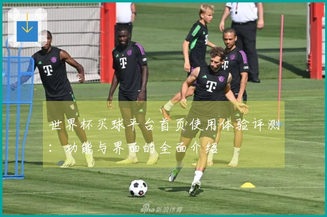世界杯买球平台首页使用体验评测：功能与界面的全面介绍