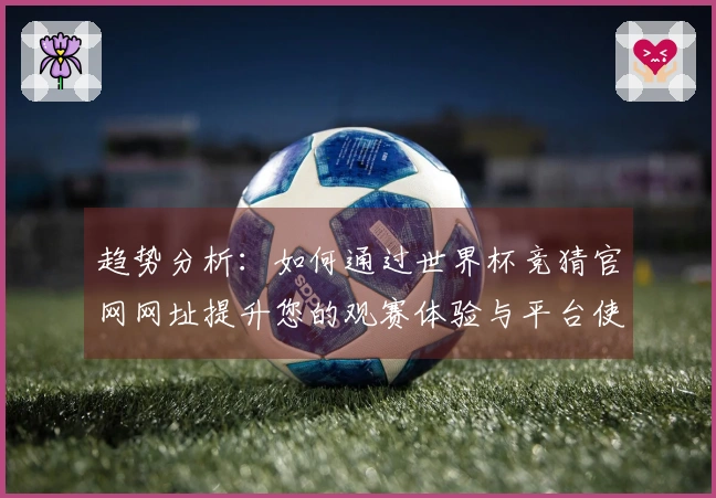 趋势分析：如何通过世界杯竞猜官网网址提升您的观赛体验与平台使用效率