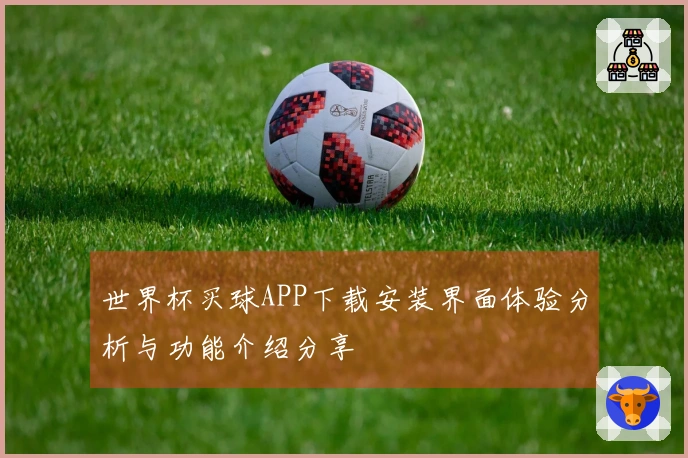 世界杯买球APP下载安装界面体验分析与功能介绍分享