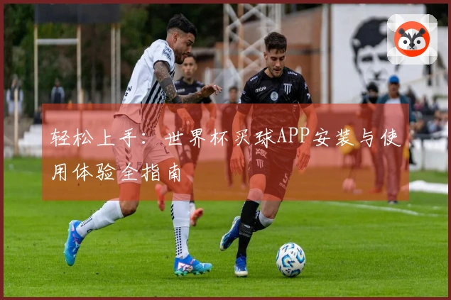 轻松上手：世界杯买球APP安装与使用体验全指南