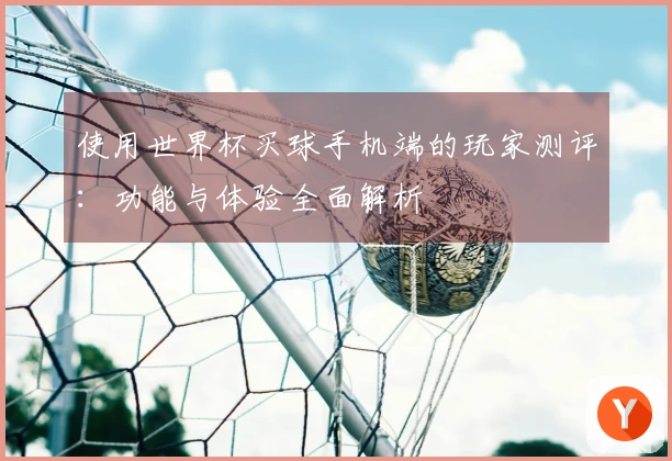 使用世界杯买球手机端的玩家测评：功能与体验全面解析