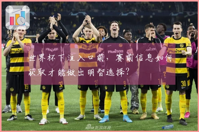 世界杯下注入口前，赛前信息如何获取才能做出明智选择？